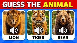 Guess 40 Animal Sounds Quiz | Quiz Challenge