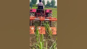 Inter Row Weeder , Ganne Di Guddi