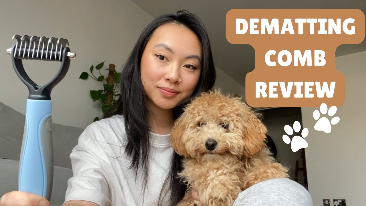 Dematting Dog Comb Review 🐶 For Stubborn Knots and Serious Matting