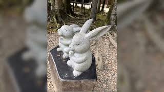 Photos From Izumo Trip (Japan Adventure 2024)