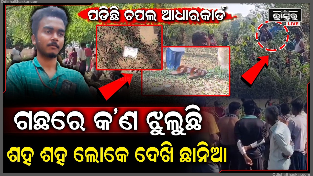 ଗଛରେ ଇଏ କ’ଣ, ଯାହାକୁ ଦେଖି ଲୋକେ ଆଶ୍ଚର୍ଯ୍ୟ... ତଳେ ପଡି ରହିଛି ଆଧାରକାର୍ଡ ଆଉ ଚପଲ...