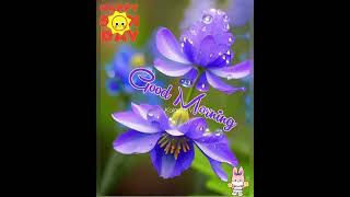 Sunday gif Animated WhatsApp Status with Music | Good Morning Wallpaper | Happy Sunday | #shorts 👍