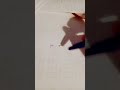 EMPTY MEME!
