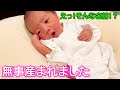【出産ご報告】次男の名前発表します!!