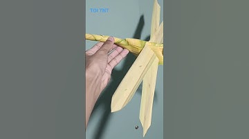 Chuồn chuồn - Nghệ thuật lá dừa| TOI TNT