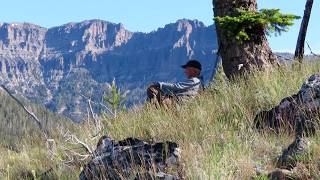 A Morning in Yellowstone's High Country