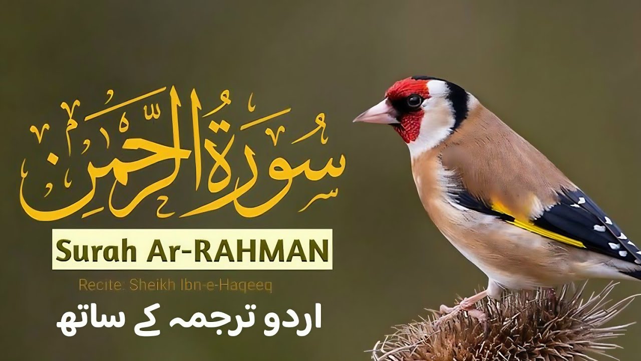 Surah Rahman for peace of mind | With Urdu Hindi Translation |  قسم کی روحانی اور جسمانی بیماری ختم 