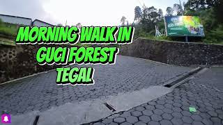 MORNING WALKING TOUR GUCI FOREST AND CAMPING GROUND IN TEGAL (POV VIDEO by INSTA360 GO 3)