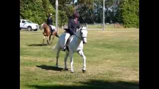 Koo Intermediate Pleasure 2014