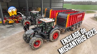 😱 🌾JE DÉCOUVRE l'ENSILAGE de MISCANTHUS avec des ENSEMBLES MAGNIFIQUES ! 😍