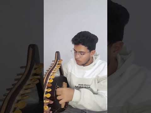 عزف سمسمية يا دنيا دواره لما قلبي يدق الفنان احمد يوسف