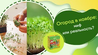 Вебинар | Огород в ноябре: миф или реальность?