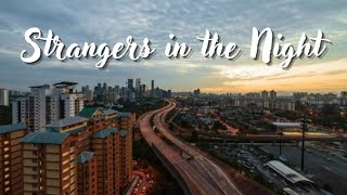 Frank Sinatra  Strangers In The Night  Cover By Rafael