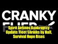 Spirit Airlines Bankruptcy Update: Fleet Shrinks by Half, Survival Hope Rises