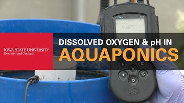 How to Check the Oxygen and pH Levels in Your Aquaponics System