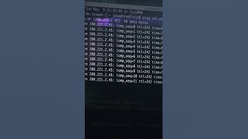 Why Are There So Many Programming Languages? #shorts