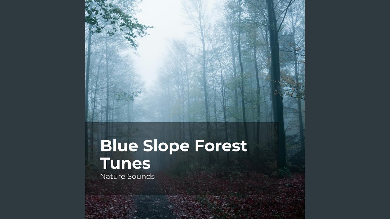 Blue Slope Forest Tunes
