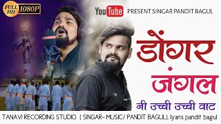 डोंगर जंगल नी उच्ची उच्ची वाट डोंगऱ्यादेव नी #aadivasi_kuladaivat_songs (present singar pandit bagul