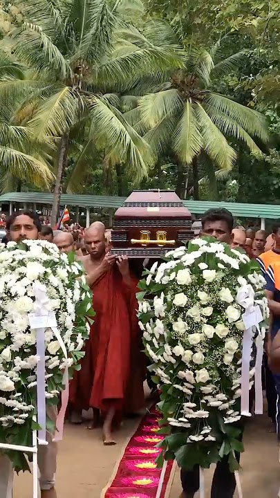 හදවත් සසල කල නාඋයනේ ඛේදවාචකය 😔🙏 #srilanka #malsiripura #nauyana #arannayasenasanaya #shortsvideo