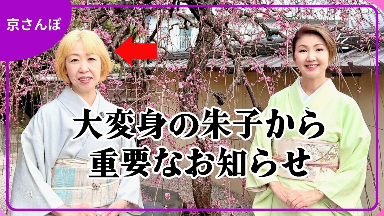 Kyoto Nishijin] Important announcement from Zhu Xi, whose former