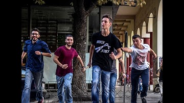 Broken Sticks - Dreamer