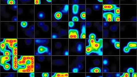 Neurons derived from Human Neural Stem Cells, plated on an MEA