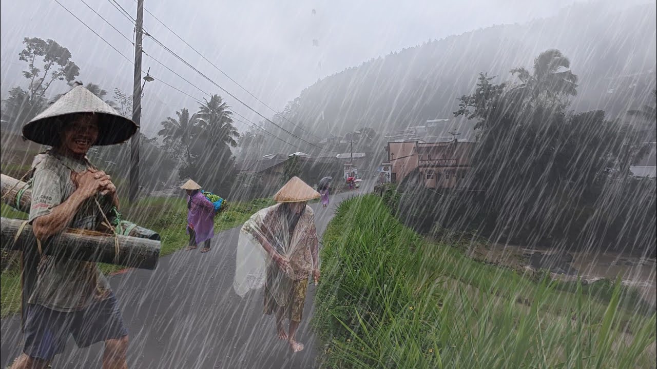 Walking in Heavy Rain and Thunder | Cold Mountain Life hit by Village ...