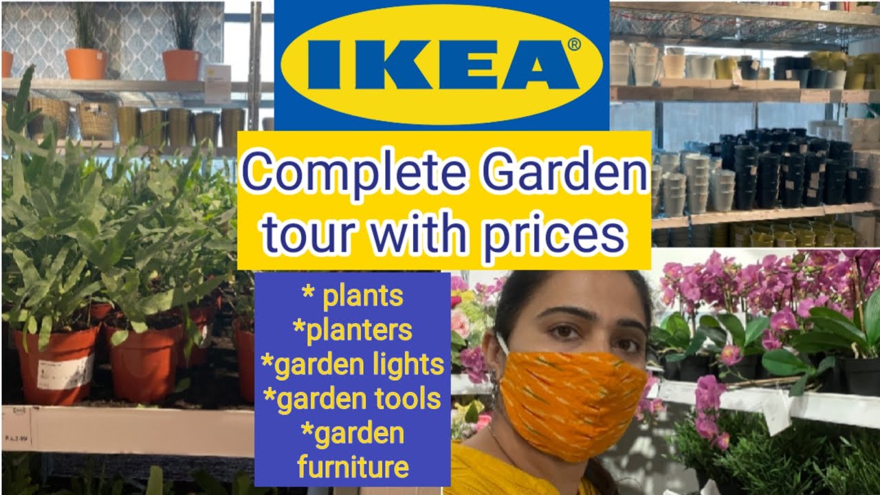 IKEA Hyderabad shopping IKEA 2021 Garden Tour IKEA plants section with pricesZindagi