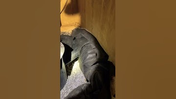 Installing a sump basin and pump in crawlspace part 5. #crawlspace #hardwork #yourubeshorts #howto