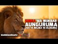 SIMBA WA MIMBAR AUNGURUMA JUU YA MILIMA YA ULUGURU