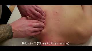 Muscle Palpation - Serratus Posterior Superior & Inferior