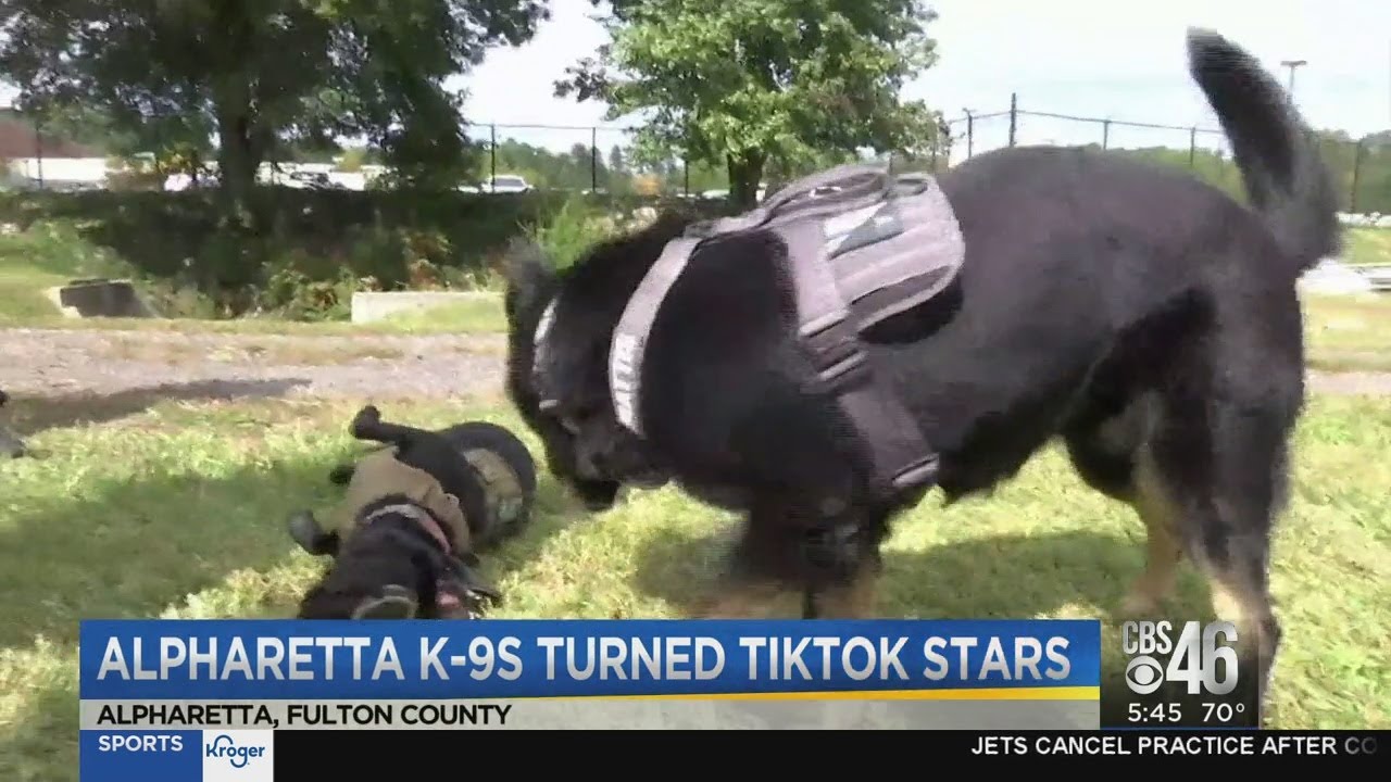 Alpharetta K9 Officers go viral on TikTok