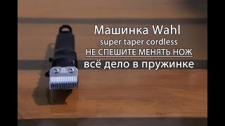:       Wahl    .
