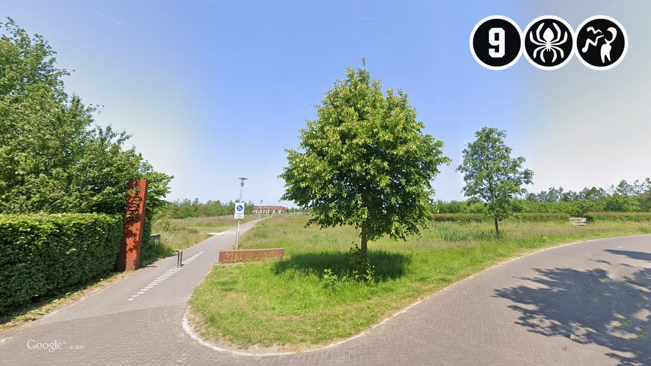 Update: zedenmisdrijf in Apeldoorns park