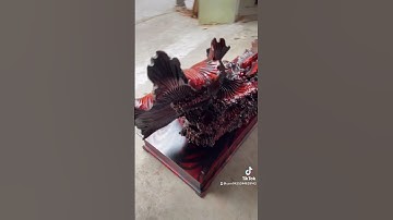 cặp cá siêm huyên bí gỗ trắc đỏ đen lh 0973/601/821