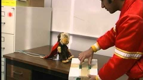 Teddy Phidget Music Video