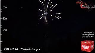 СП1204901 Шёлковый путь