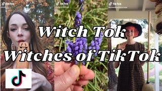 Witchtok/ Witches of tiktok/ Baby Witch Tips pt 1