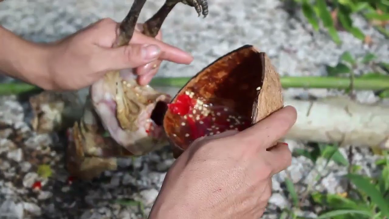 "Building a Shelter with Only Natural Materials"