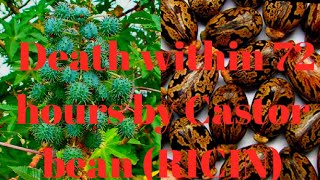 Death within 72 hours by Castor bean seeds (RICIN) biologicalweapons myfirstvideoonyoutube