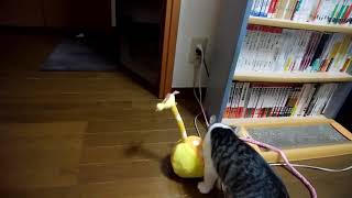 2019071502