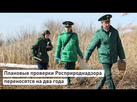 Плановые проверки Росприроднадзора переносятся на 2 года