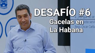 DESAFÍO #6 - LAS GACELAS EN LA HABANA