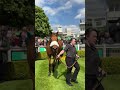 Glorious horse on a glorious day #horseracing #horserace #horses
