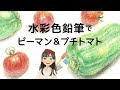 水彩色鉛筆でプチトマト＆ピーマンの描き方（野菜を描こう前半）ーメイキングーwatercolored pencils/how to draw tomatoes&green pepperー画材・紙も解説ー