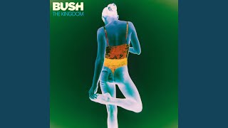 Bush Undone Video