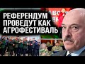 🔥 Агитация на «референдум» Лукашенко и маразм пропаганды | Жыве Беларусь!