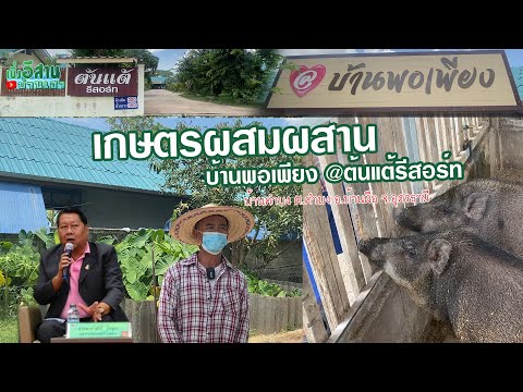 บ้านพอเพียง เกษตรผสมผสาน @ต้นแต้รีสอร์ท บ้านคำบง อ.บ้านผือ จ.อุดรธานี | เบิ่งอีสานบ้านเฮา