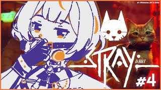 【Stray】Cat!【hololive Indonesia 2nd Generation】
