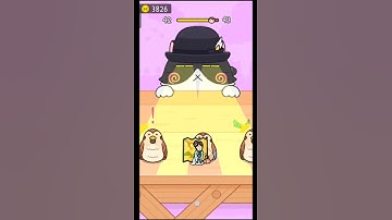 Hide and Seek Cat Escape Level 42#funnycat #funnyvideo